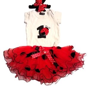 Cute ladybug outfit 1st birthday